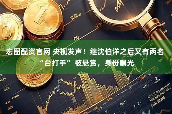 宏图配资官网 央视发声！继沈伯洋之后又有两名 “台打手” 被悬赏，身份曝光