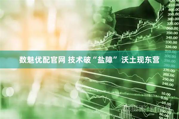 数魅优配官网 技术破“盐障” 沃土现东营
