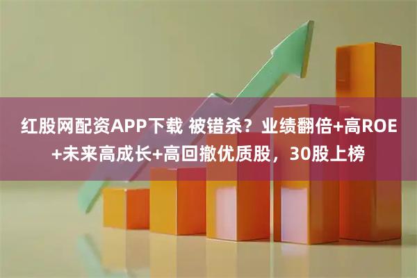 红股网配资APP下载 被错杀？业绩翻倍+高ROE+未来高成长+高回撤优质股，30股上榜