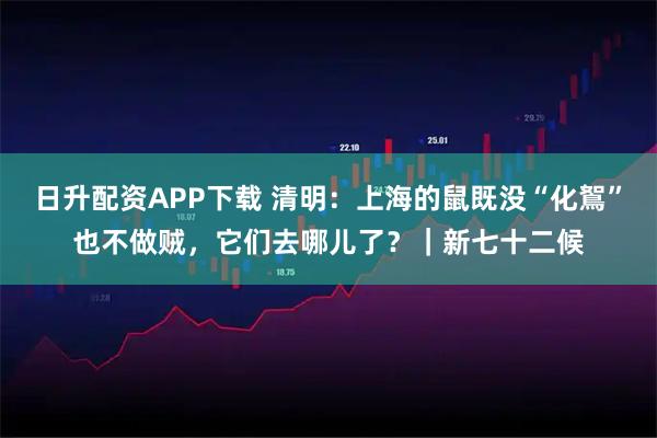 日升配资APP下载 清明：上海的鼠既没“化鴽”也不做贼，它们去哪儿了？｜新七十二候