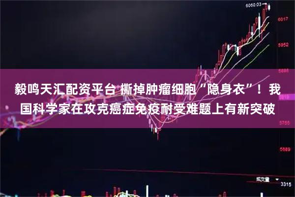 毅鸣天汇配资平台 撕掉肿瘤细胞“隐身衣”！我国科学家在攻克癌症免疫耐受难题上有新突破