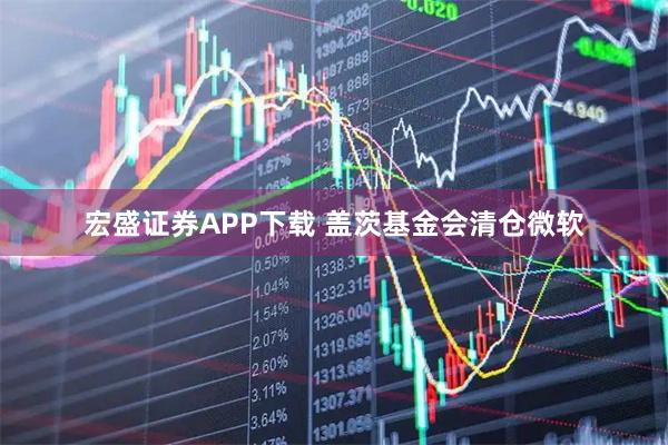 宏盛证券APP下载 盖茨基金会清仓微软